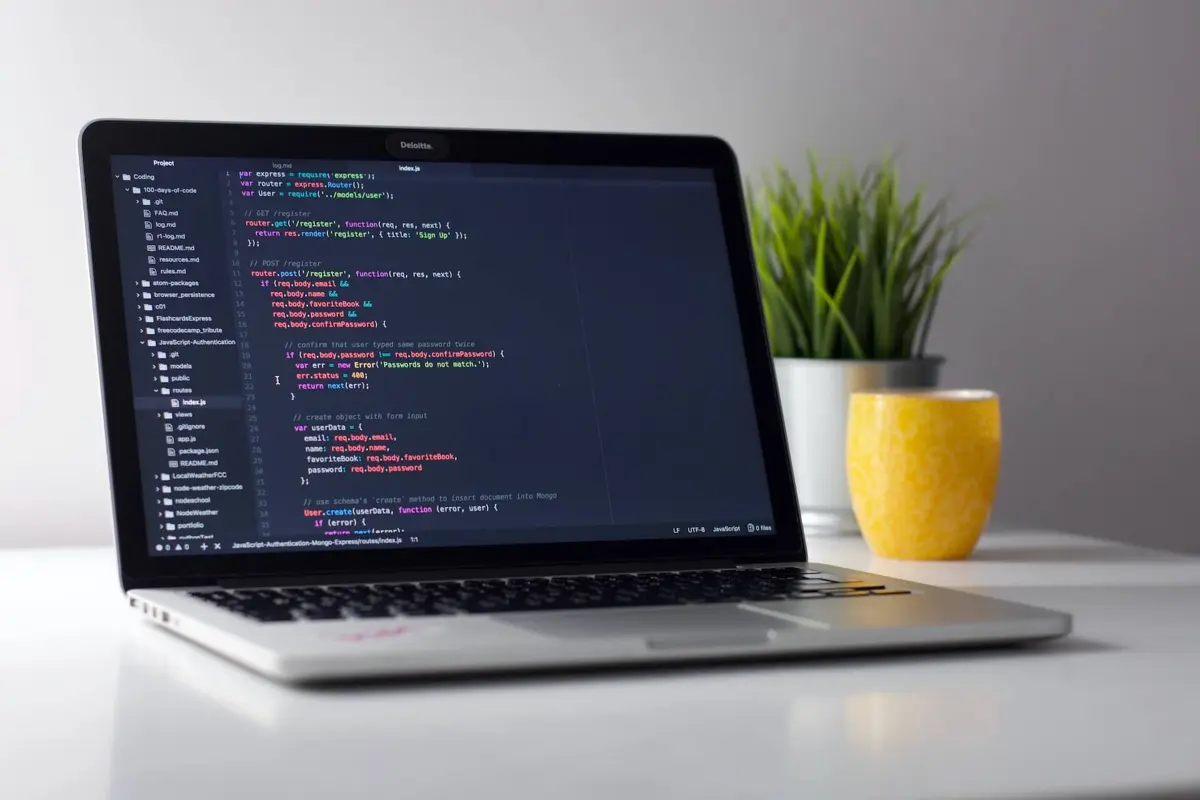 Web design showcase